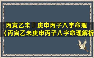 丙寅乙未 ☘ 庚申丙子八字命理（丙寅乙未庚申丙子八字命理解析）